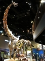 Kids_FLL-Perot_9-2017 (20)